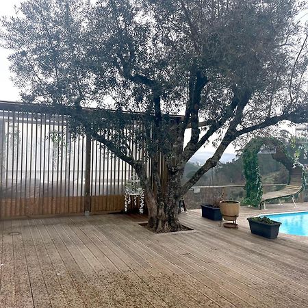 Refugios Do Rio Dao Βίλα Mangualde Εξωτερικό φωτογραφία